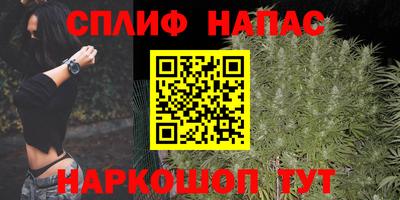 индика Заволжье