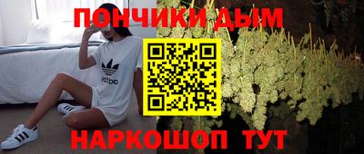 индика Заволжье