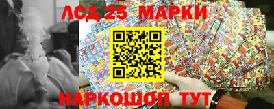 индика Заволжье