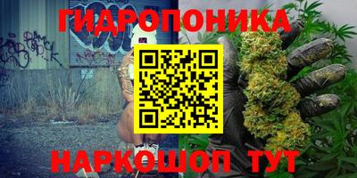 индика Заволжье