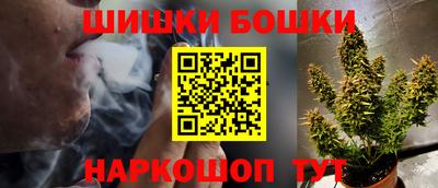 индика Заволжье