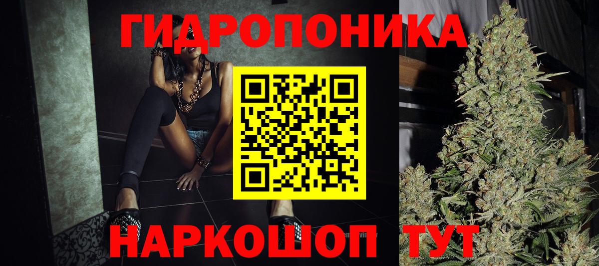 Каннабис семена  Бошки Шишки гибрид  Десногорск  Вход с VPN  Марихуана индика 